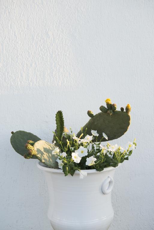Biancadamare Bed & Breakfast Ostuni Exterior photo