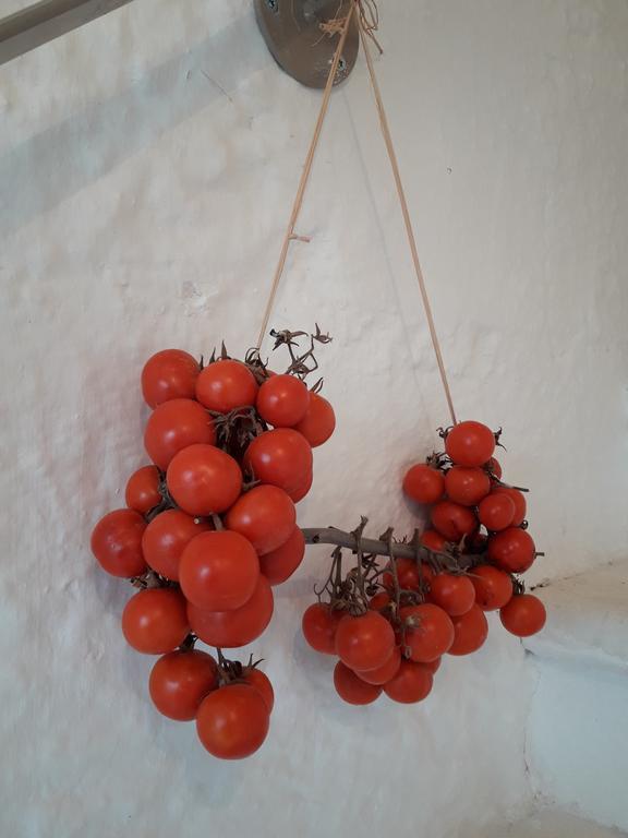 Biancadamare Bed & Breakfast Ostuni Exterior photo